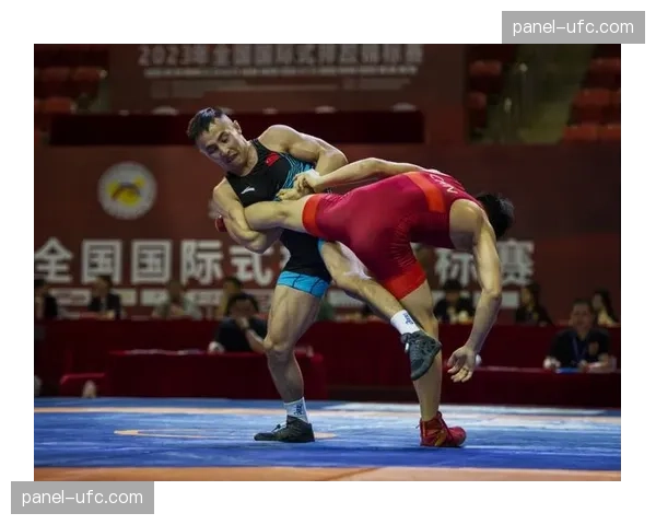 全国U17国际式摔跤锦标赛设置男子自由式、女子自由式、古典式共20个级别